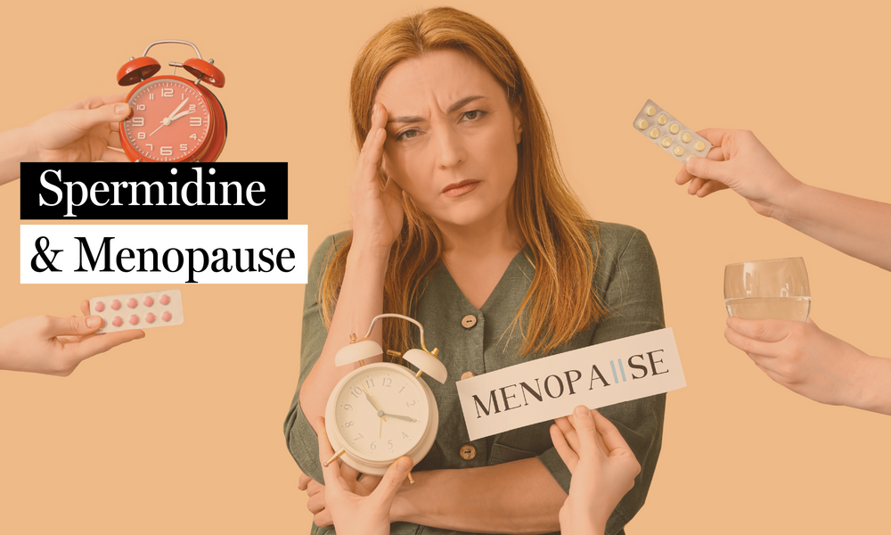 Spermidine vs. Estrogen: A Natural Alternative for Cardiometabolic Health After Menopause
