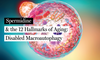 Spermidine & Disabled Macroautophagy