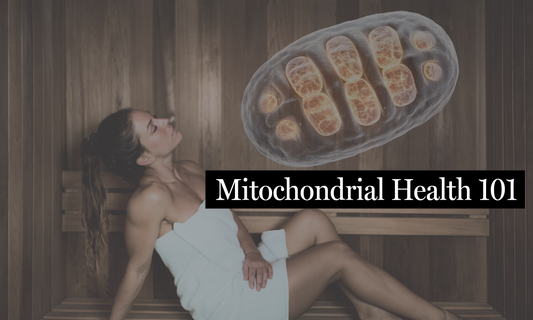 Mitochondrial Health 101: Powering Your Cells for Energy and Longevity