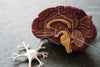 Brain model cut in half to show dementia and cognitive decline