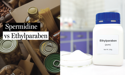 Spermidine Protects Embryos from Ethylparaben Toxicity
