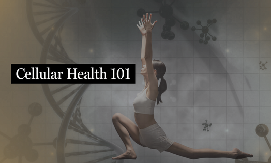 Cellular Health 101: Why Your Cells Are the Key to Longevity