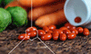 Tomatoes, brussels sprouts, and carrots on a table