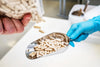 spermidineLIFE® pills during production