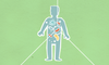 Diagram of a human body