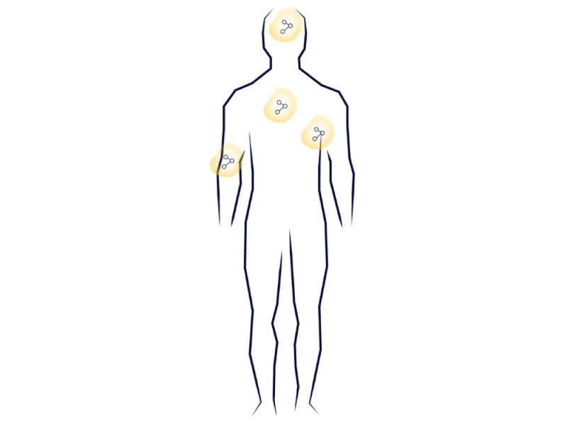 spermidineLIFE spermidine health benefits