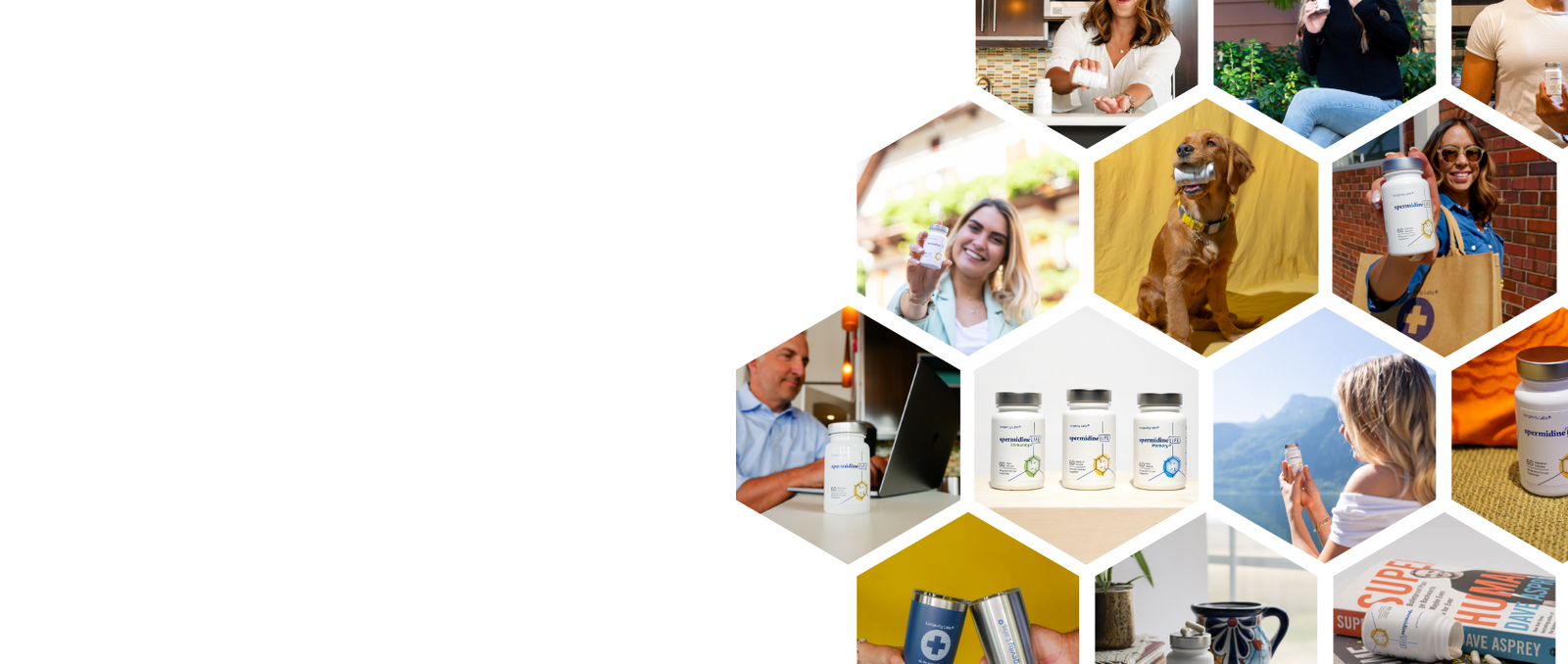 Spermidine Affiliates