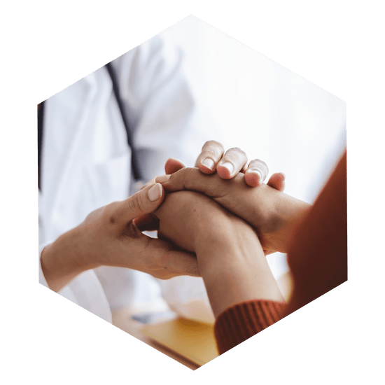 spermidineLIFE Pillars of Brain Health - Medical Health
