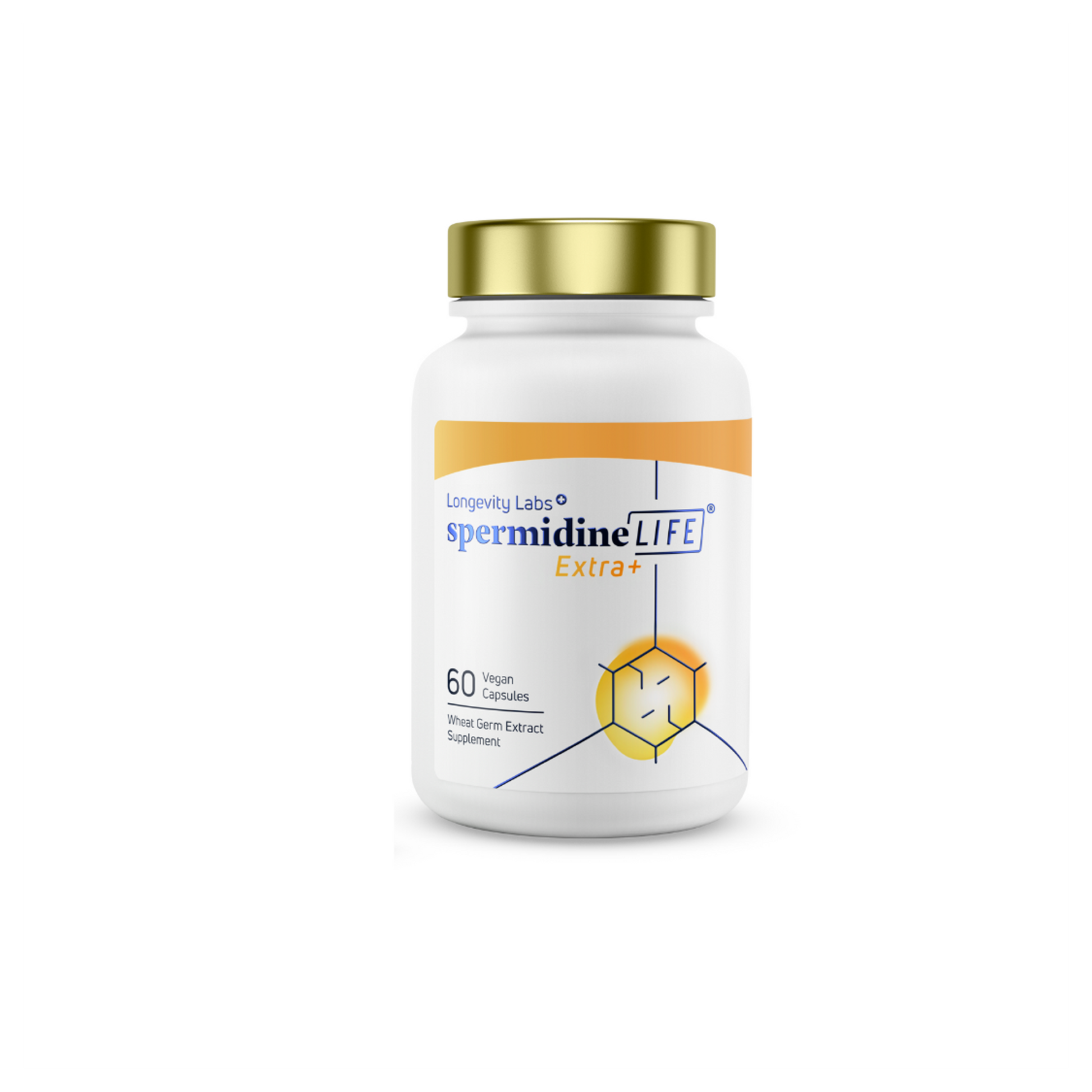 A bottle of spermidineLife® Extra+ 1300mg Dietary Supplement by Longevity Labs, Inc for cellular renewal on a white background.