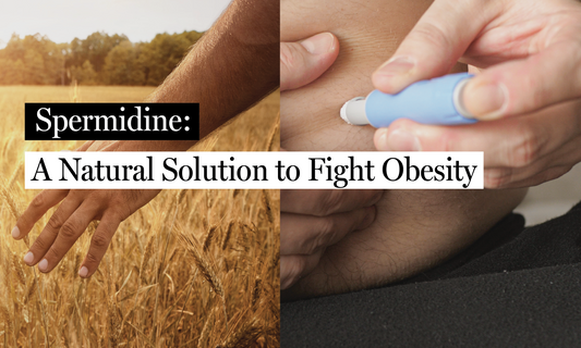 Spermidine: A Natural Solution to Fight Obesity