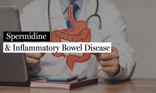 A New Player in Gut Inflammation: How a New Bacterial Polyamine Disrupts Mitochondria and Why Spermidine May Help