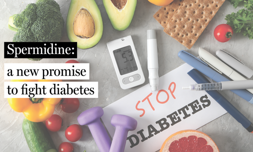 Spermidine: A Promising Molecule in the Fight Against Type 2 Diabetes