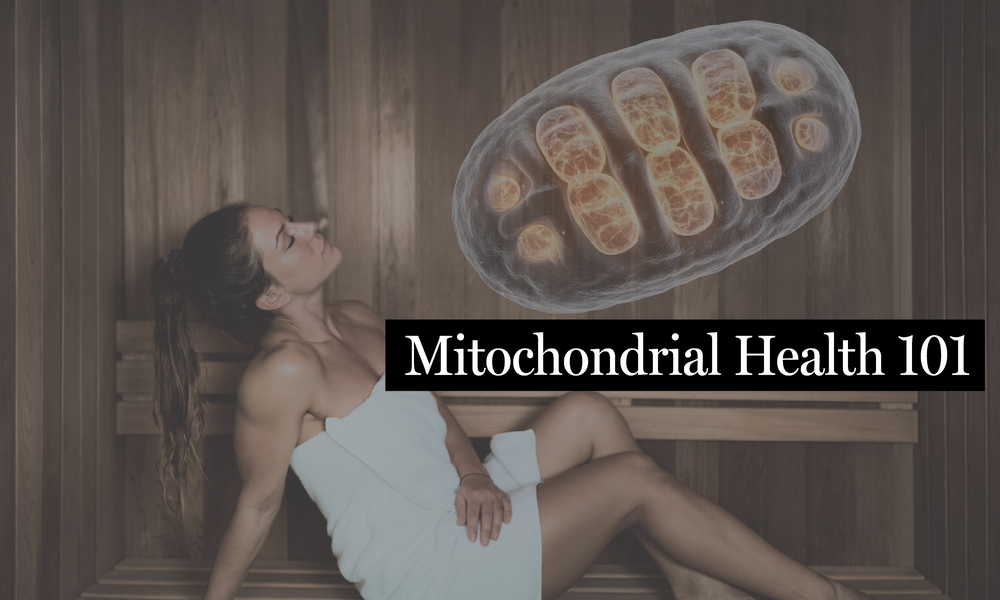 Mitochondrial Health 101: Powering Your Cells for Energy and Longevity
