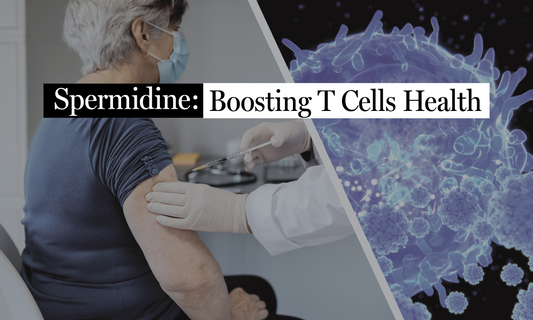 Spermidine: Supporting T Cells for Lifelong Immune Health