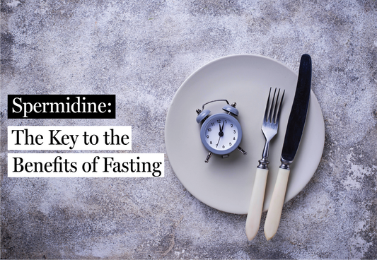 Unlocking the Fountain of Youth: How Fasting and Spermidine Team Up to Boost Health and Longevity