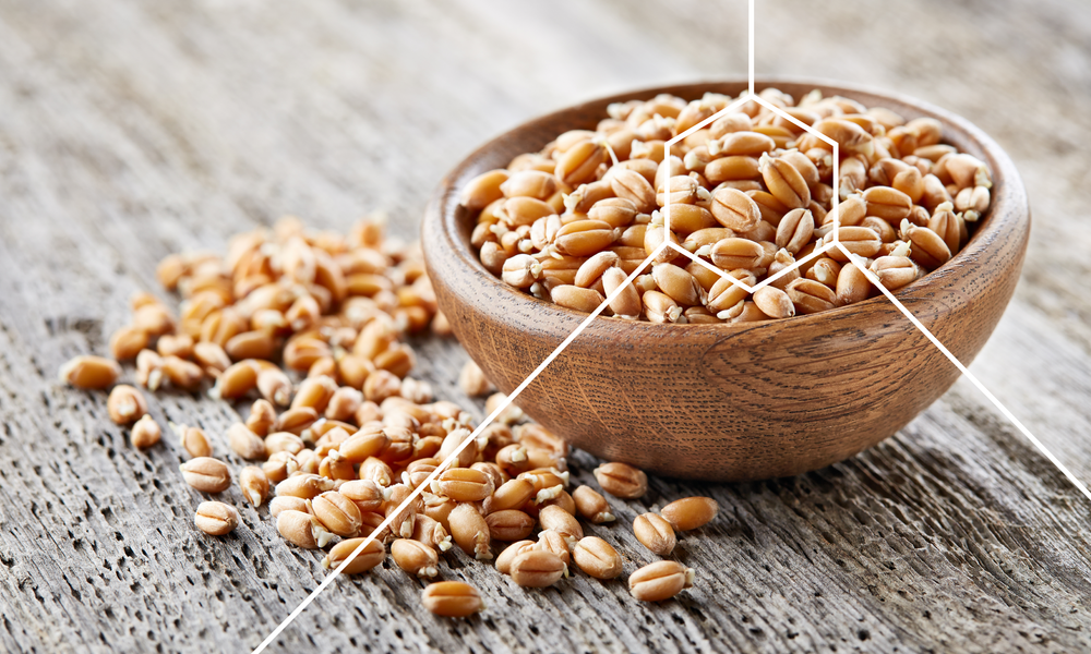 Wheat germ is the source of spermidine which create autophagy in the body.