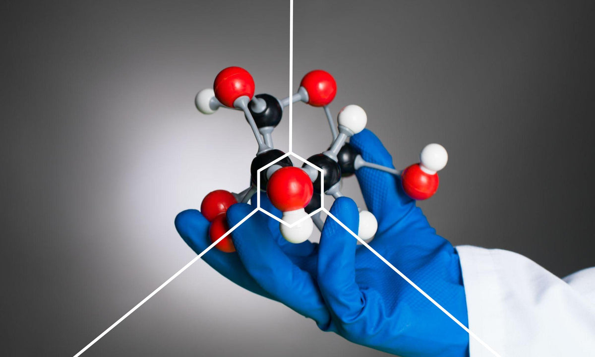 What Is a Senolytic? – spermidineLIFE® by Longevity Labs, Inc.