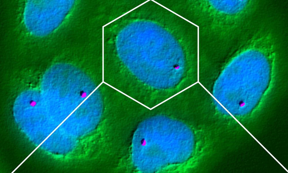 Cells floating on a green background