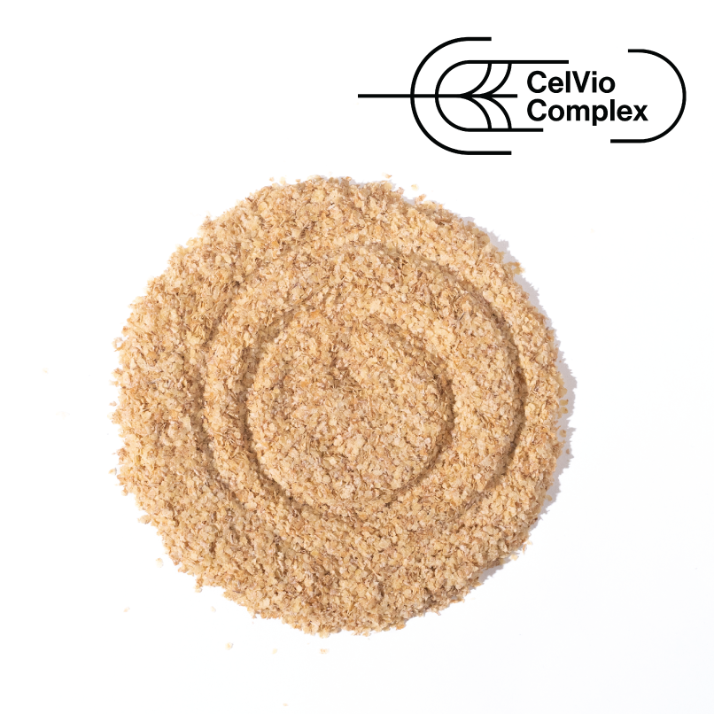 A circle of brown sugar on a white background promoting the benefits of fasting and longevity.