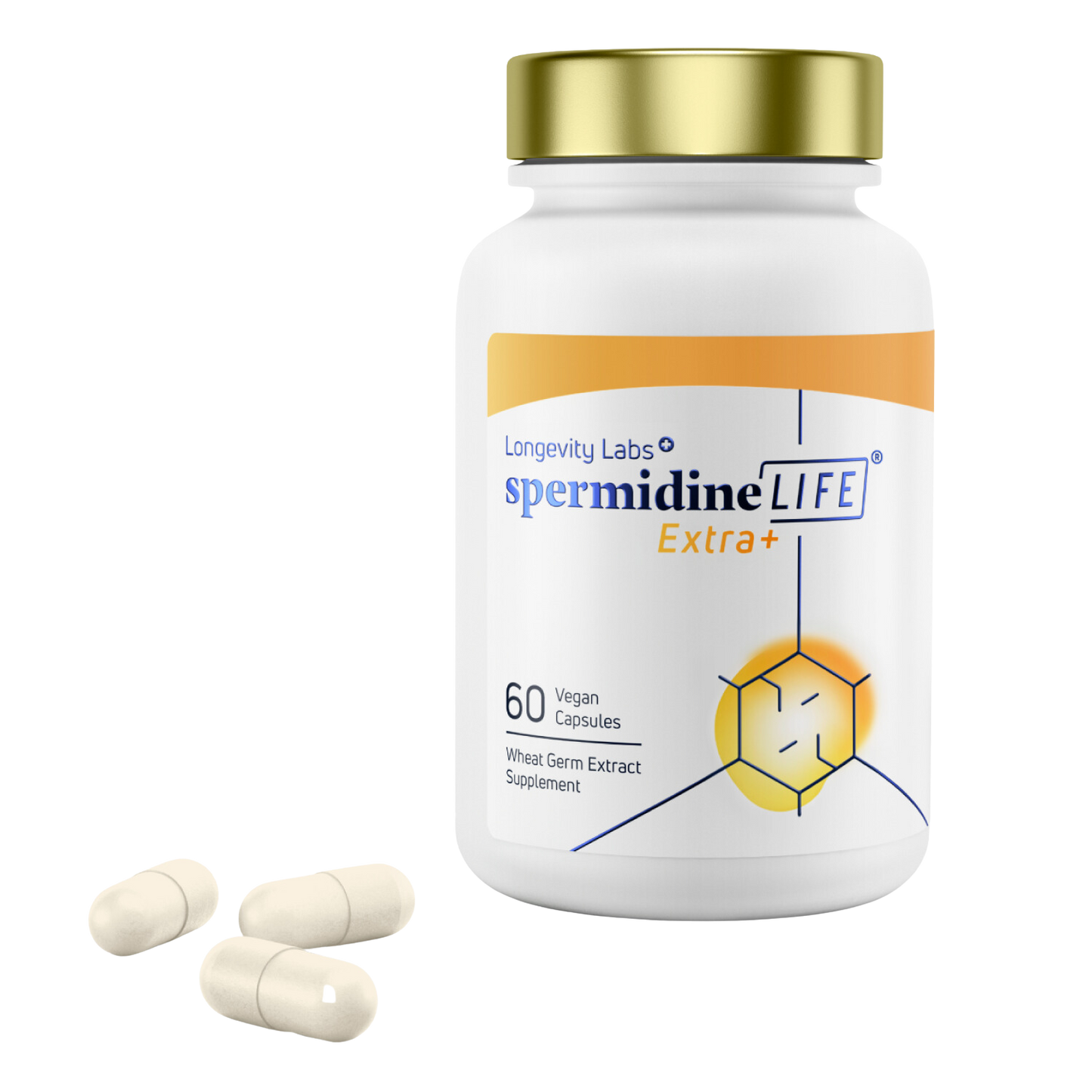 Bottle of spermidineLIFE® Extra + Pro Bundle supplement by Longevity Labs, Inc with two capsules displayed in front.