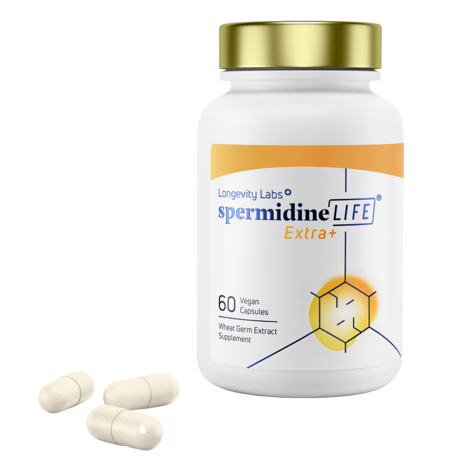 Bottle of spermidineLIFE® Extra + Pro Bundle supplement by Longevity Labs, Inc with two capsules displayed in front.