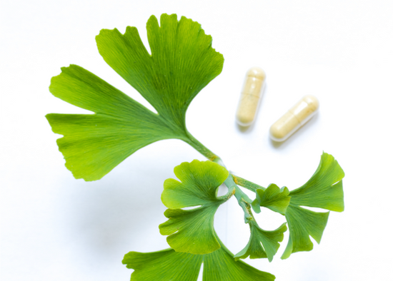 Ginkgo biloba leaves and SpermidineLIFE pills on a white background.