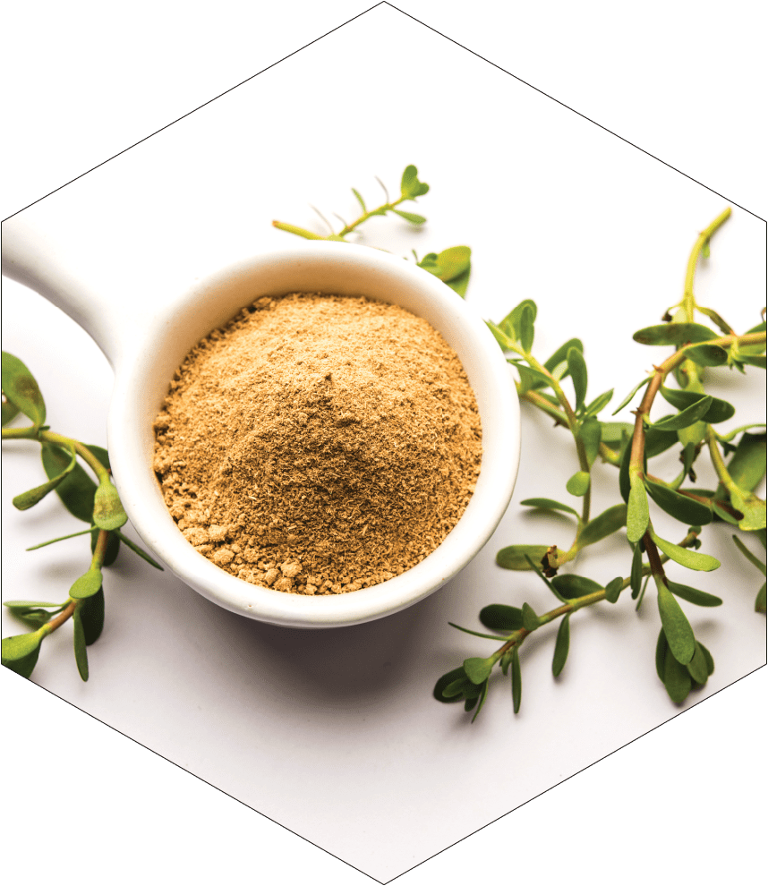 spermidineLIFE® Memory+ 1300mg Dietary Supplement – spermidineLIFE® by ...