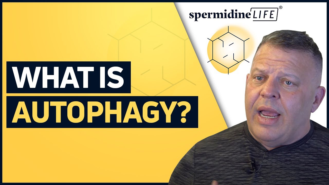 What is the role of fasting in autophagy and cellular health?