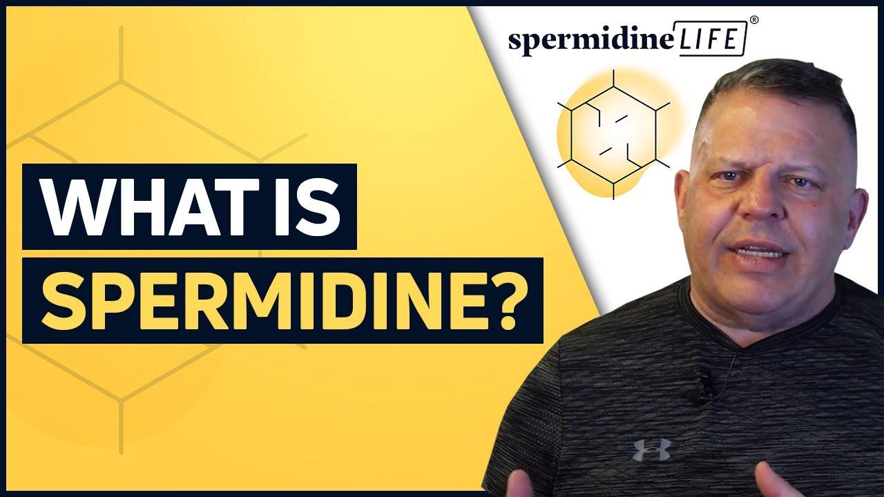 What is the longevity-boosting benefits of spermidine?